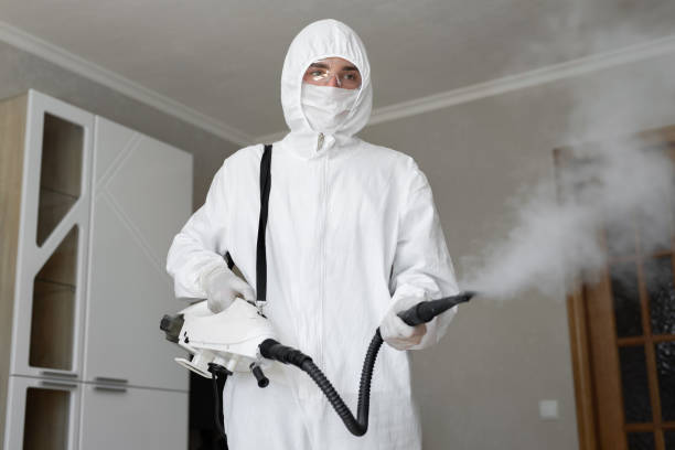 Mold Documentation for Insurance Claims in Maywood, CA